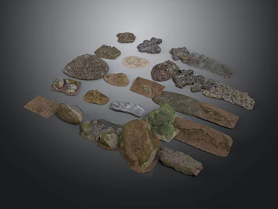 Collection of Various Wood and Stone Samples Featuring Natural Textures and Shapes 3d model