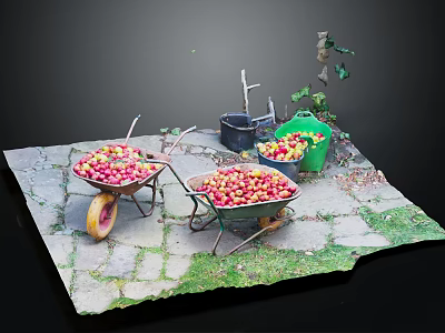 Fresh Colorful Fruits Filled in Wheelbarrows on Stone Path with Green Plants 3d model