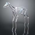 Silver Metallic Dog Skeleton Model Medical Device With Clear Structure For Teaching 3d model