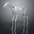 Modern Skeleton Metal Dinosaur Skeleton Alloy Skeleton Animal Skeleton Animal Skeleton 3d model