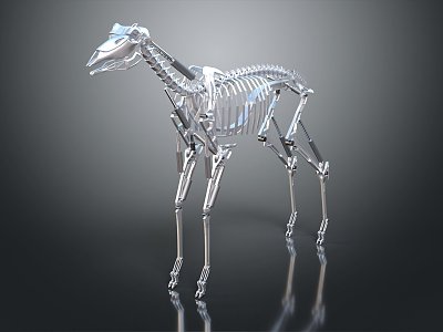 Modern Skeleton Metal Dinosaur Skeleton Alloy Skeleton Animal Skeleton Animal Skeleton 3d model