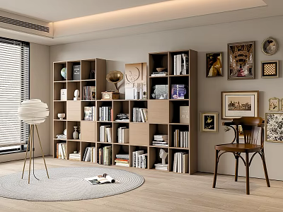 Modern Bookcase Interior With Books Decorative Items Floor Lamp Brown Chair And Round Rug 3d model