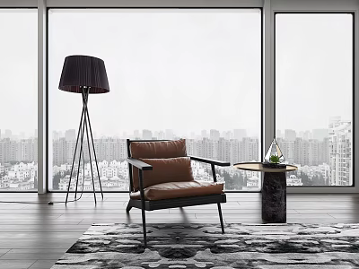 Modern Leather Single Sofa With Floor Lamp Side Table Green Plant City View And Rug 3d model