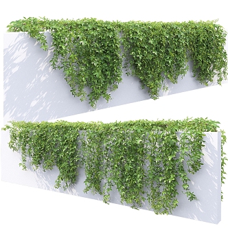 Modern Vine Man Wall Creeper 3d model