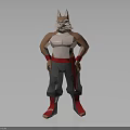 Anthropomorphic Cat Character With Muscular Torso Grey Pants Red Sash And Footwear