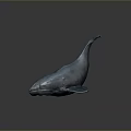 Detailed Blue Whale Sculpture Model With Shiny Surface On Dark Background