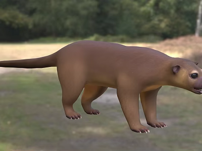 Brown Scaly Reptile With Long Tail Standing On Grassland Forest Background Scene 3d model