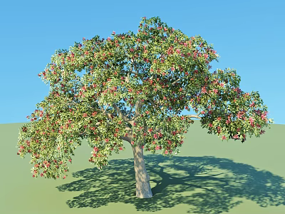 Lush Arbor with Green Leaves Red Flowers Light Trunk on Green Grass Under Blue Sky 3d model
