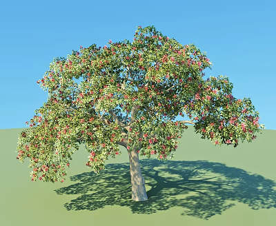Lush Arbor with Green Leaves Red Flowers Light Trunk on Green Grass Under Blue Sky 3d model