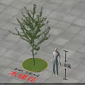 Hibiscus Arbor with 5m Diameter and 8m Height on Paved Ground 3d model