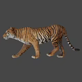 Lifelike Tiger Sculpture With Detailed Brown Black Stripes In Walking Pose