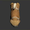Brown And White Puppy Figurine With Shaggy Fur In Standing Pose On Dark Glossy Surface