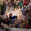Stunning Floral Display with Various Colorful Flowers and Indoor Decorative Setup