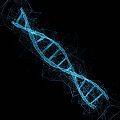 DNA Double Helix DNA Structure DNA Strand Science Fiction Effect Future Technology 3d model