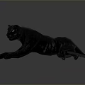 Realistic Orange Tiger and Black Panther Lying Side by Side on Gray Background 3d model