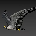 Majestic Gray Falcon Soaring Gracefully With Extended Wings And Patterned Feathers In Clear Sky