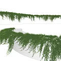 Lush Green Vines Hanging On Curved White Wall For Outdoor Landscape Design
