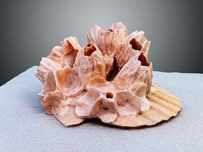 Light Brown Coral Polyps With Holes And Folds Displayed On Gray Cloth Surface 3d model