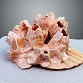 Light Brown Coral Polyps With Holes And Folds Displayed On Gray Cloth Surface