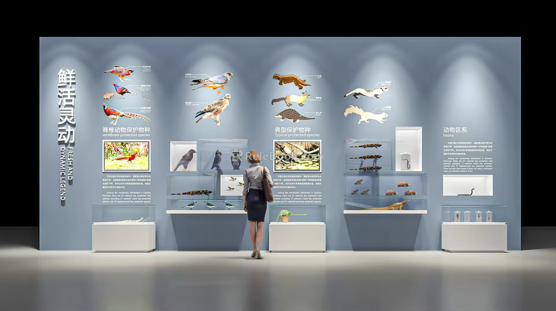 Modern Museum Natural Science Museum Soil and Water Resources Exhibition Hall Ecological Civilization Exhibition Hall Animal Protection Science Popularization Rare Animal Specimens Exhibition Wall 3d model