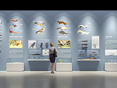 Reptile Specimens Display In Museum Exhibition Showcase With Visitor Viewing 3d model