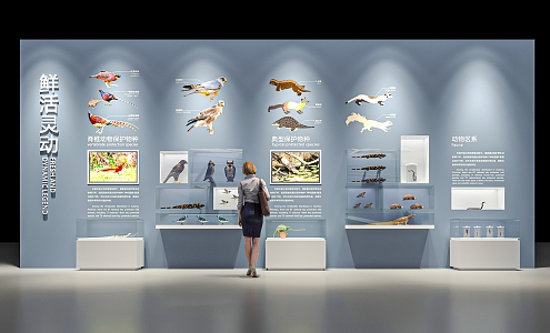 Modern Museum Natural Science Museum Soil and Water Resources Exhibition Hall Ecological Civilization Exhibition Hall Animal Protection Science Popularization Rare Animal Specimens Exhibition Wall 3d model