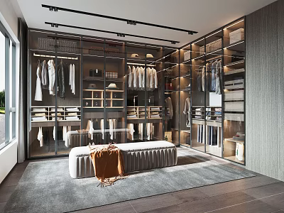Modern Walk-in Closet Interior Design With Glass Doors Hanging Clothes Shelves And Bench 3d model