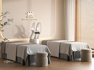 Bliss Sanctuary SPA Room Featuring Two Massage Beds Gray Sheets Crown Design Green Plant Blinds 3d model