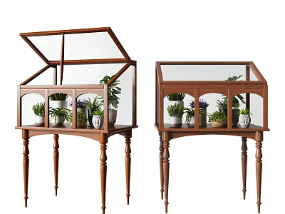 Wooden Glass Top Terrarium Stands With Various Indoor Plants For Garden Decor 3d model
