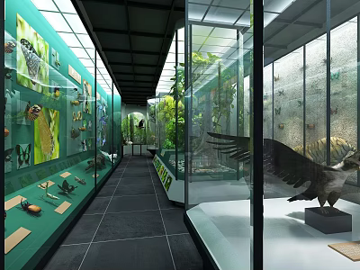 Museum Exhibition Hall Interior With Glass Display Cases And Animal Specimens 3d model