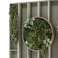 Living Plant Wall Design With Circular Wooden Frame Various Green Plants And Hanging Foliage