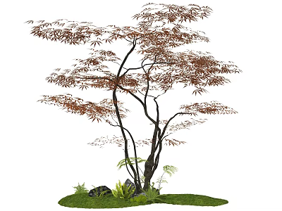 Arbor in Natural Setting with Slender Trunks Red Brown Leaves Green Grass and Stones 3d model