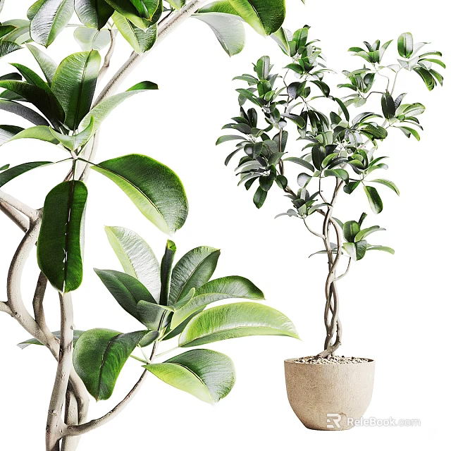 Bonsai Potted Plant With Lush Green Leaves And Twisted Trunk In Natural Fiber Pot 3d model 