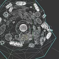 Cellular Organizational System 3D Model Showing Nucleus Endoplasmic Reticulum Mitochondria And Organelles