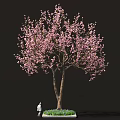 Sakura Inspired Food Display With Pink Blossom Tree And Green Grass