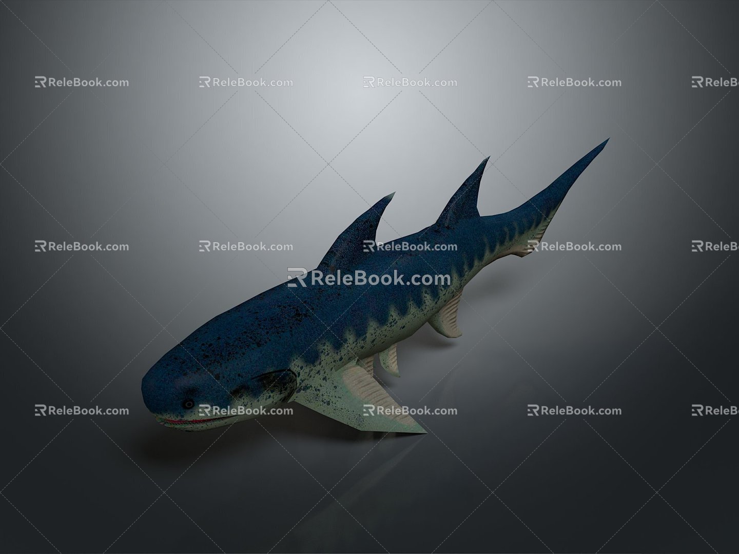 shark great white shark whale shark hammerhead shark tiger head shark man-eating shark blue shark coral red coral white coral 3d model