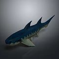 Blue Spotted Shark 3D Rendering Isolated On Gray Background Underwater Animal 3d model