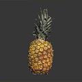 Fresh Ripe Pineapple with Green Leafy Top Orange Skin Juicy Tropical Fruit on Dark Background
