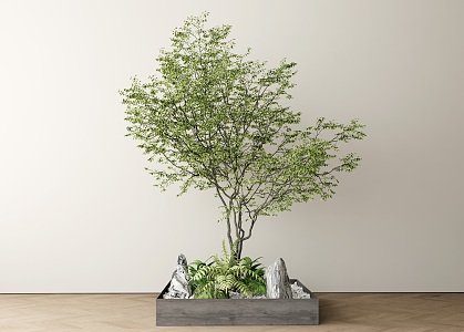 Modern Green Plant Potted Landscape Tree 3d model