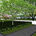 Modern Residential Landscape With Grass Lawn Trees Water Feature And Stone Pathways