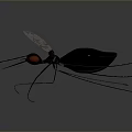 Black Toy Insect With Red Eyes Transparent Wings And Grey Background