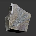 Natural Wood Stone Piece With Irregular Shape And Radiating Surface Patterns