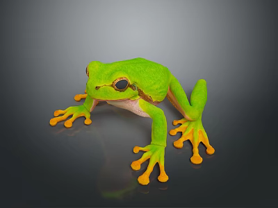 Vibrant Green Reptile Lizard With Bright Orange Toes On Dark Surface 3d model