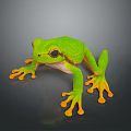 Vibrant Green Reptile Lizard With Bright Orange Toes On Dark Surface