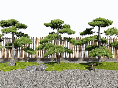 Pine Trees in Traditional Japanese Garden With Wooden Fence Grass Stones and Lanterns 3d model