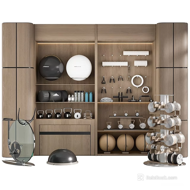 Sports Equipment Storage Display With Dumbbells Fitness Balls And Training Tools 3d model 
