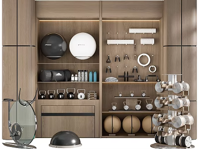 Sports Equipment Storage Display With Dumbbells Fitness Balls And Training Tools 3d model