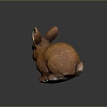 rabbit hare rabbit white rabbit 3d model