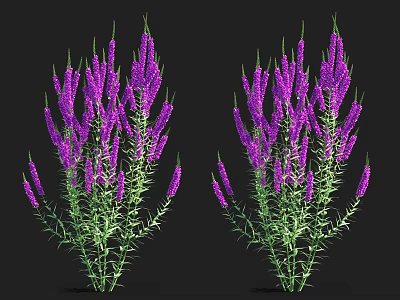 Vibrant Aquatic Plants With Tall Purple Flowers And Lush Green Stems 3d model