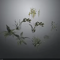 Various Types of Green Plants Including Ferns and Herbs Arranged on Gray Background